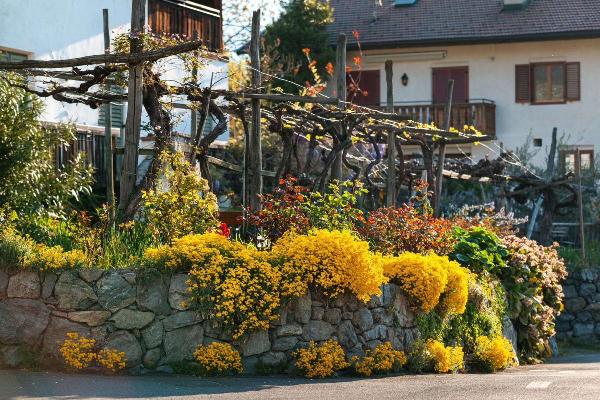 Ferienwohnungen St Hippolyt Mit Hallenbad Lagundo Extérieur photo
